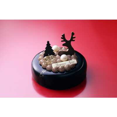【大丸福岡天神店店頭受取】ショコラ・ドゥ・ノエル(15cm)