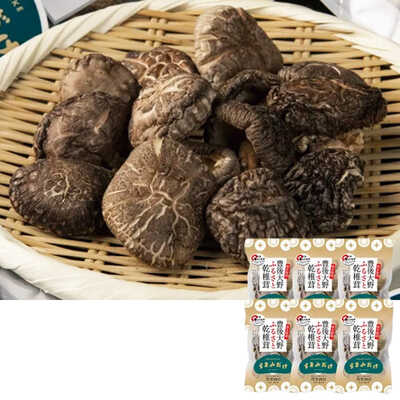 大分県産椎茸うまみだけどんこ