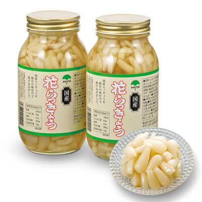 九州産花らっきょう