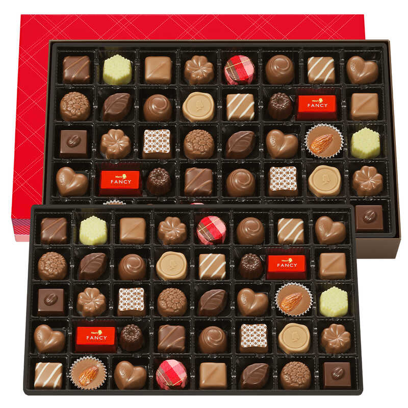 BRIGHTFUFU なつかしく チョコレート 型 チョコレート バー 型 クリア チョコレート メーカー チョコレート キャンディ 型 プラス