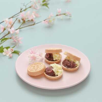 あんぽーね５個入り（さくら）