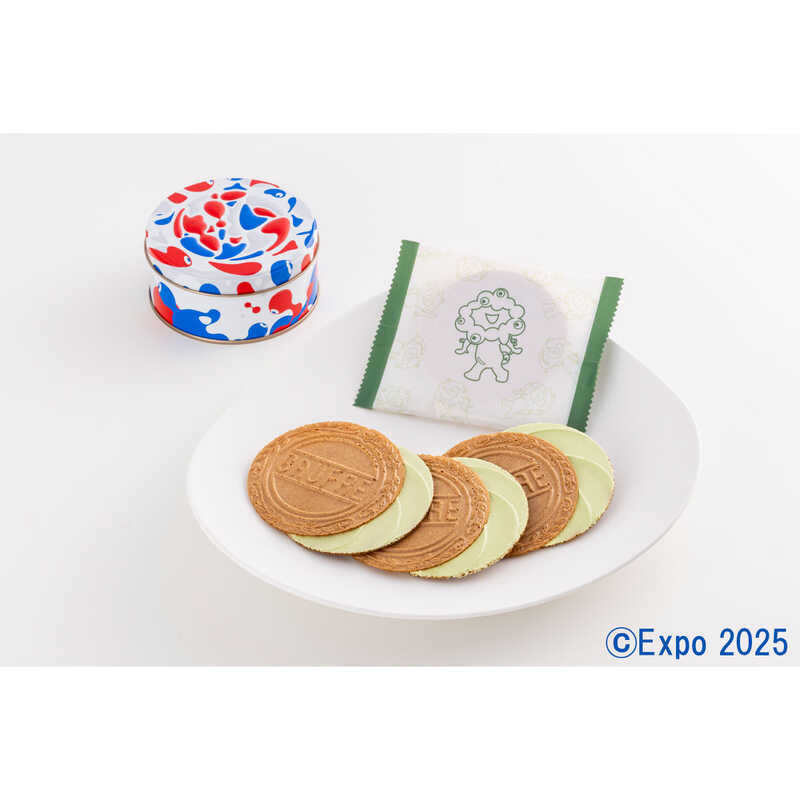 ݾ䲰饤󥹥ȥ㤨
