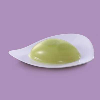 メロンの果４入