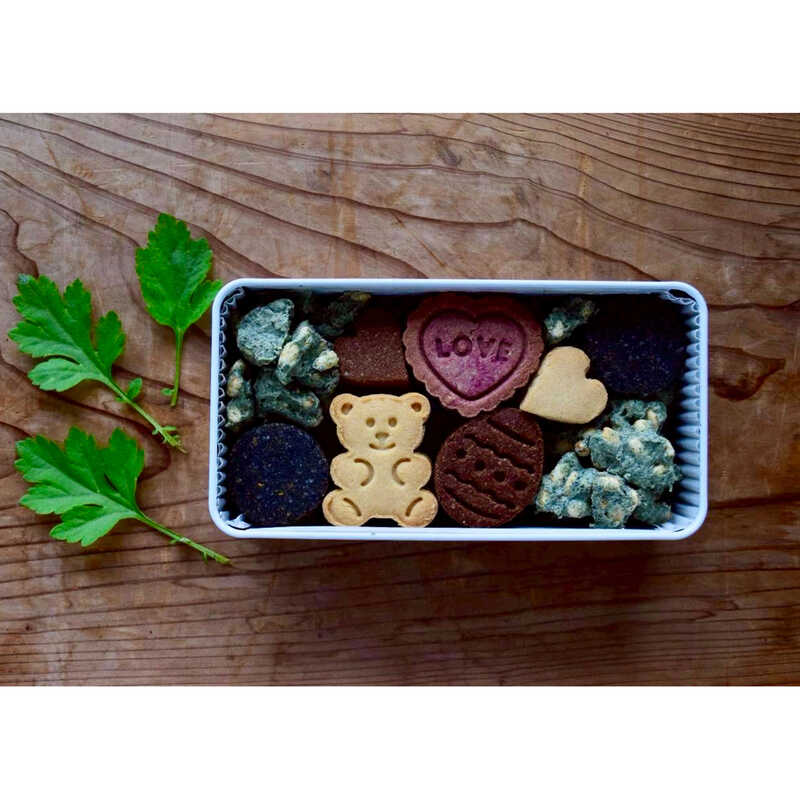 yo^C`R[gzRR yo^CzX̂܂n[g