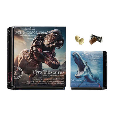 【バレンタイン】恐竜ブック缶