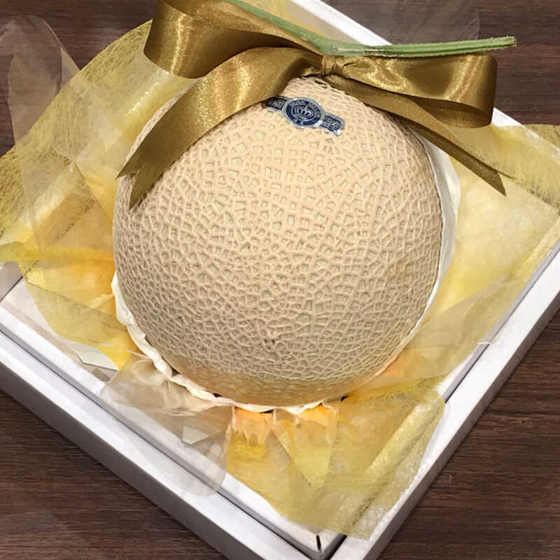 SALE／77%OFF】 静岡県産 アローマメロン 白玉 1玉 1.2kg fucoa.cl