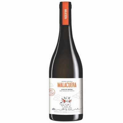 ボデーガス・マラクエラ／マラクエラ・アルビージョ・マヨール