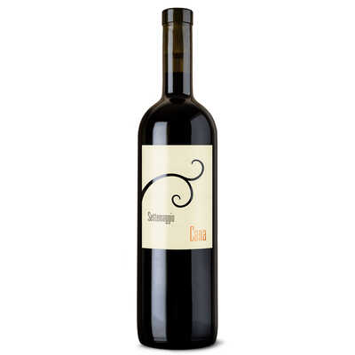 【スイス白ワイン】セッテマッジオ　カナ