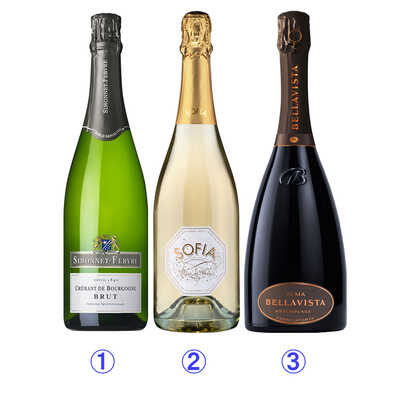 【福袋】フランチャコルタが入ったプレミアムスパークリングワイン３本セット