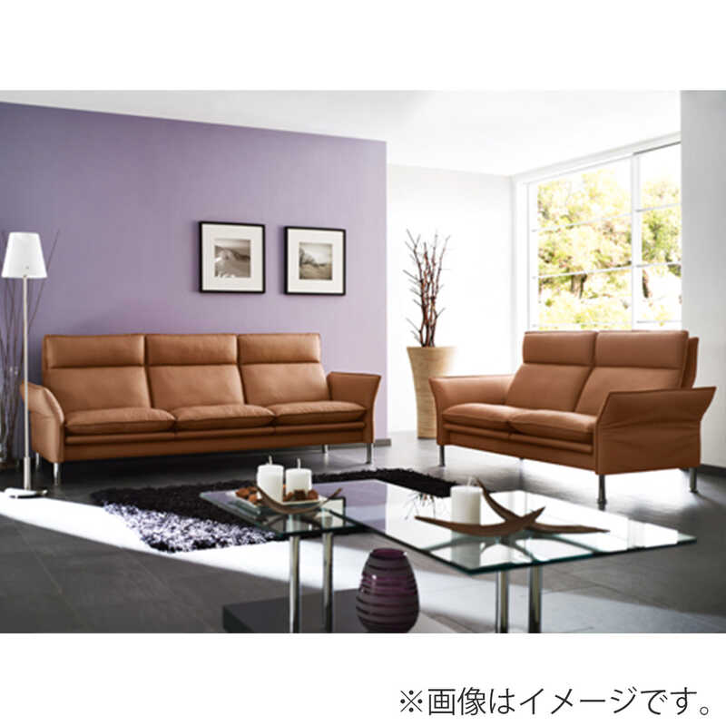 ＜大丸松坂屋＞ CARL HANSEN ＆ SON ダイニングチェア CH88P オーク オイル ステンレススチール脚 THOR301 Black Leather