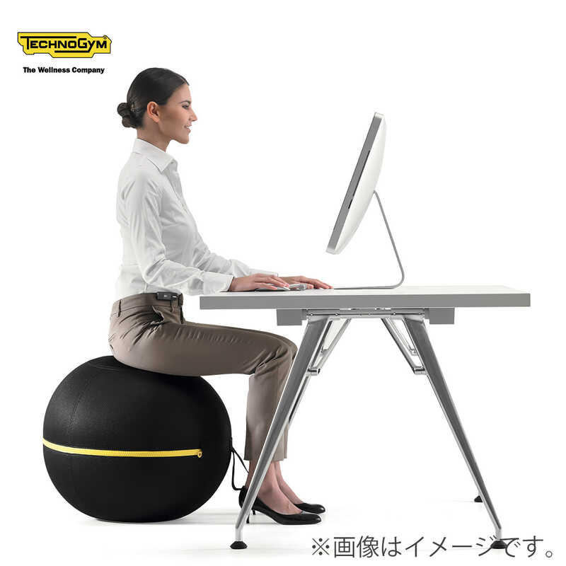 未使用品✨【FiNC】WELLNESS BALLバランスボール55cm ブラウン