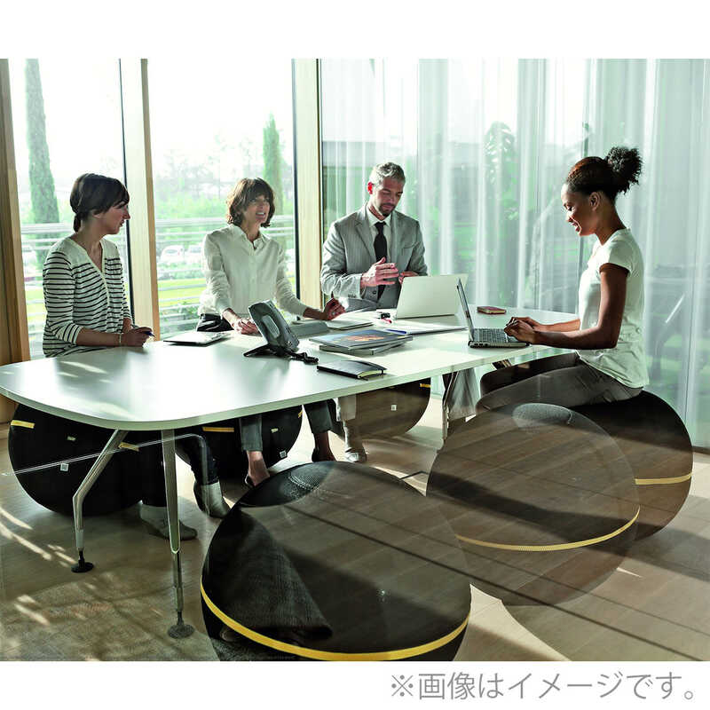 Exercise ball chair for active sitting: Technogym Wellness