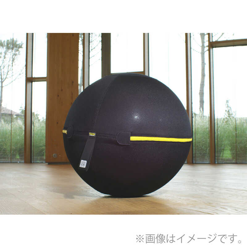 TECHNOGYM テクノジム　バランスボール　55cm
