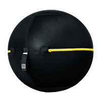 Exercise ball chair for active sitting: Technogym Wellness