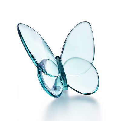 パピヨン　ラッキーバタフライ　ターコイズ