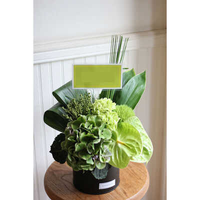 ダイナミック　Ａ