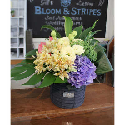 ボールラウンド　Ｄ