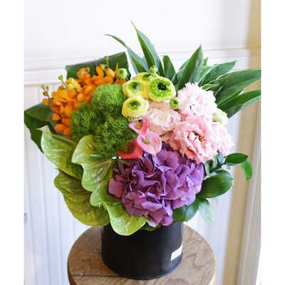 ボールラウンド　Ｅ