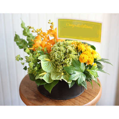 ローラウンド　Ｂ