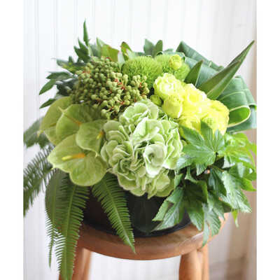 ローラウンド　Ｃ