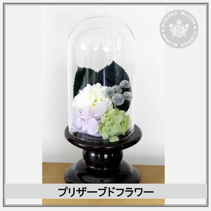 "BLOOM＆STRIPES（ブルーム＆ストライプス） 〈エターナル〉お供え用プリザーブドフラワー"