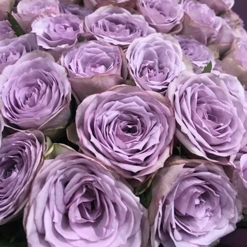 まるぷー様 薔薇円座 6点 （☆マルプーだらけのマルプー祭り