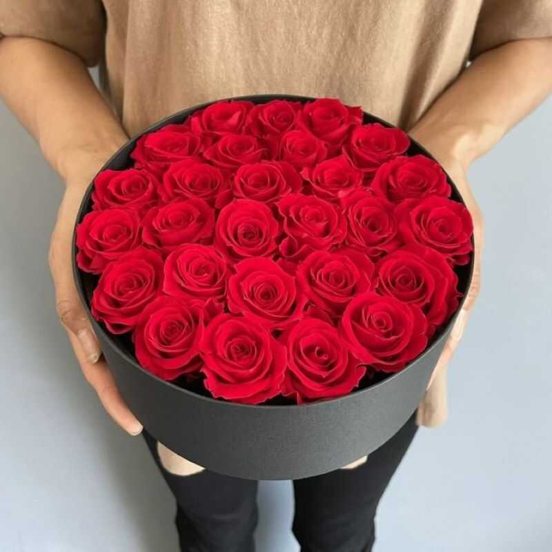 まるぷー様 薔薇円座 6点 （☆マルプーだらけのマルプー祭り
