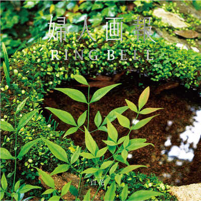 百花