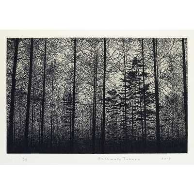 林（グレー）　／　Ｆｏｒｅｓｔ（ｇｒａｙ）