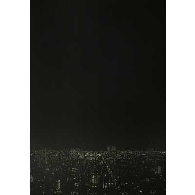 夜景／　ａ　ｎｉｇｈｔ　ｖｉｅｗ　（ｌｏｎｇ）