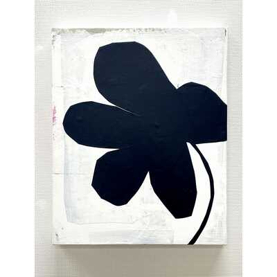 植物由来／Ｐｌａｎｔ－ｂａｓｅｄ　１１