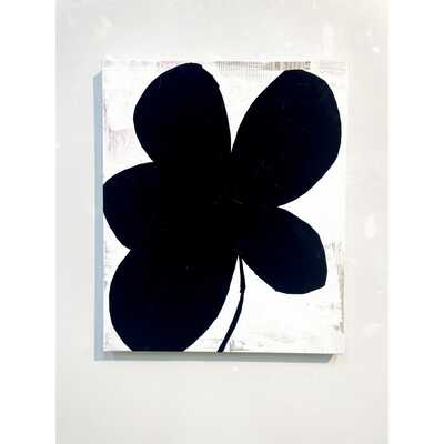 植物由来／Ｐｌａｎｔ－ｂａｓｅｄ　１２