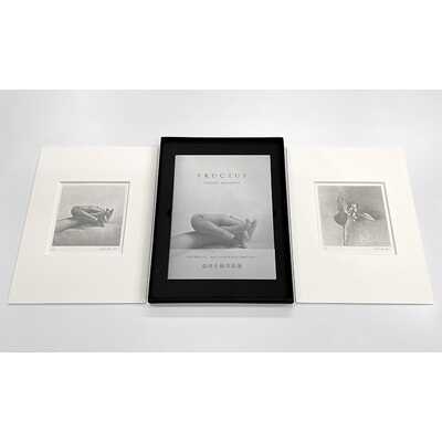 【特装版】「ＦＲＵＣＴＵＳ」