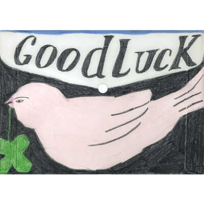 Ｅｎｖｅｌｏｐｅ　ｂｉｒｄ