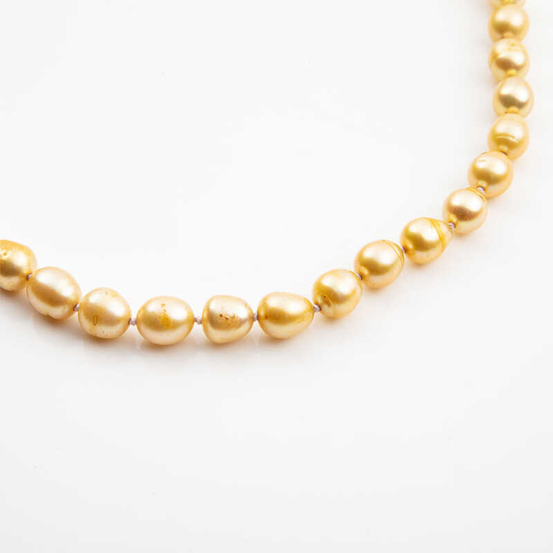 ＜大丸松坂屋＞ plus bon 淡水真珠のシンプルショートネックレス 38cm ゴールド