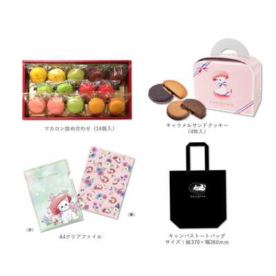 【東京店店頭受取】ダロワイヨ　福袋（小）