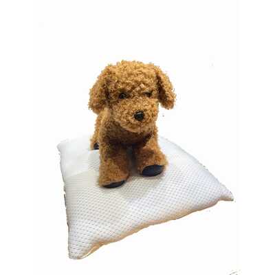 クール・Ｗラッセル生地　ふわふわクッションＳ