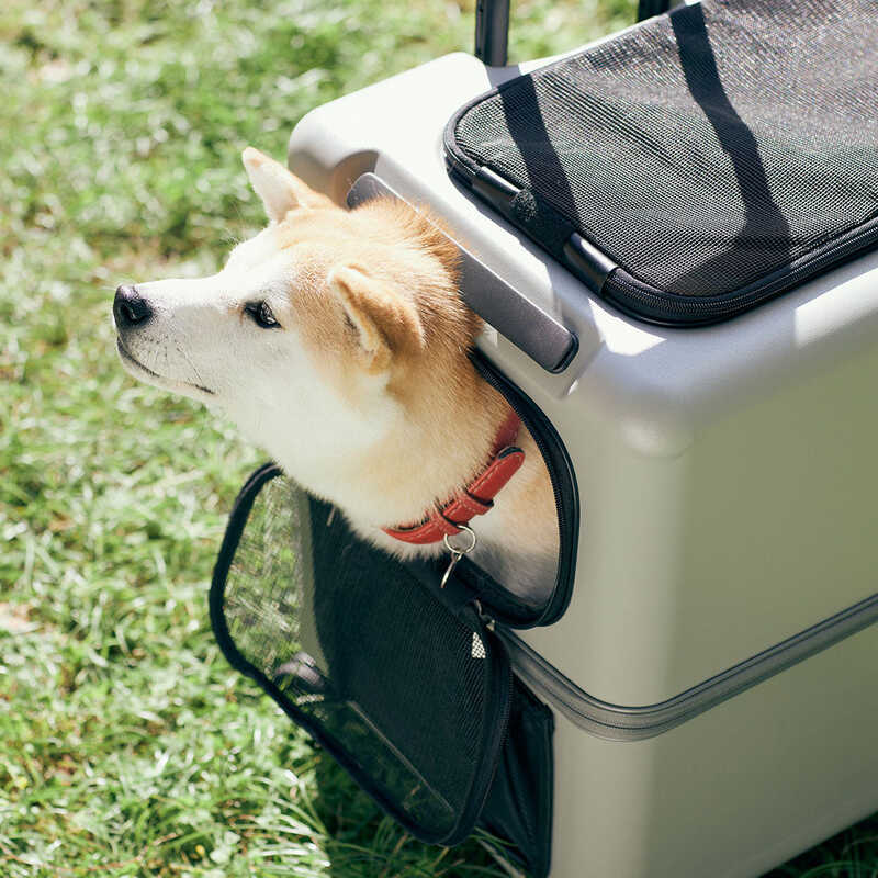 PET CARRY icoペチコL ピンクベージュ×ホワイト