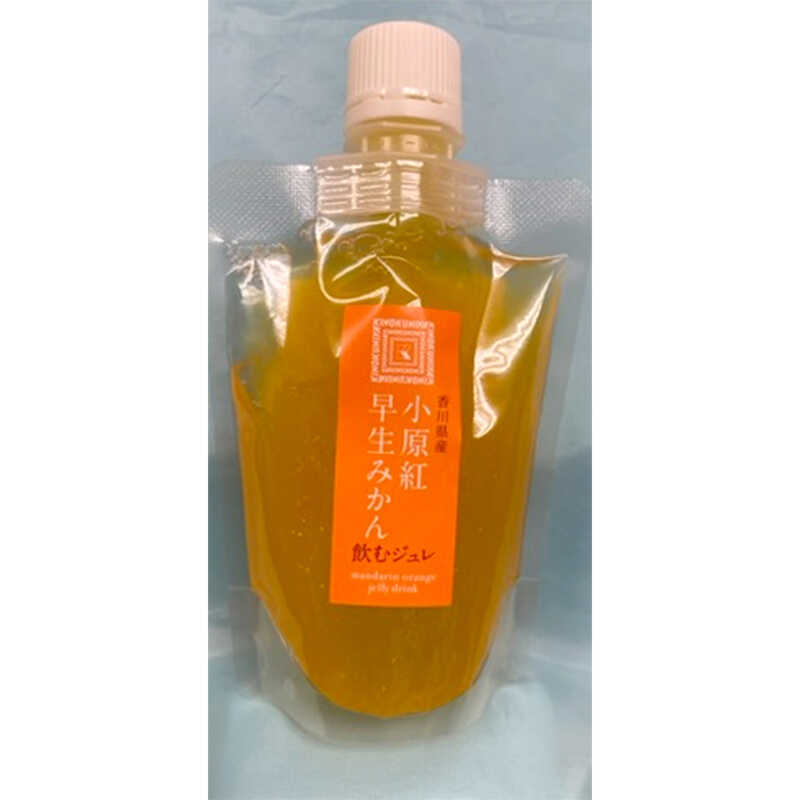 ＜大丸松坂屋＞ 紀ノ国屋 飲むジュレ 小原紅早生みかん