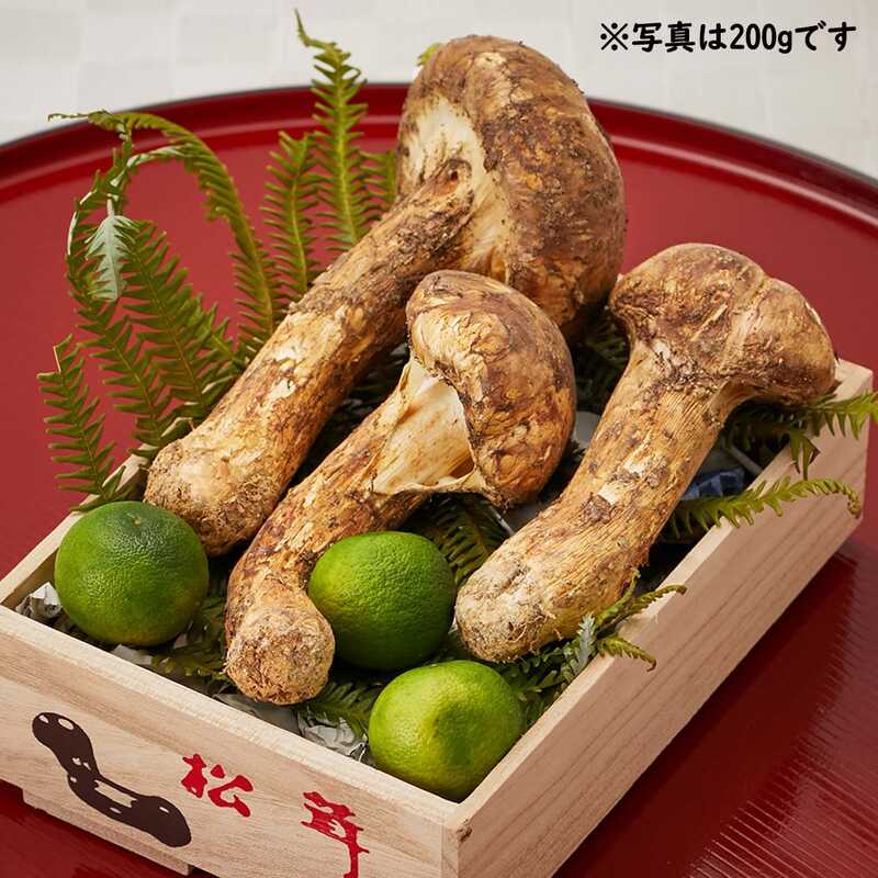 半額】 三陸産 開き松茸1.5kg キズあり 野菜 - www.buysbest.co.uk