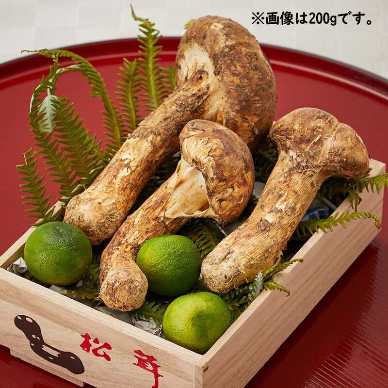 北海道　松茸　600g 松茸北海道産500g