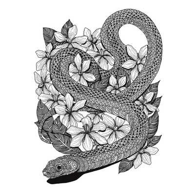 ７月　山梔子とキングスネーク