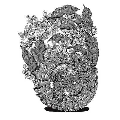 １０月　金木犀とアルマジロトカゲ