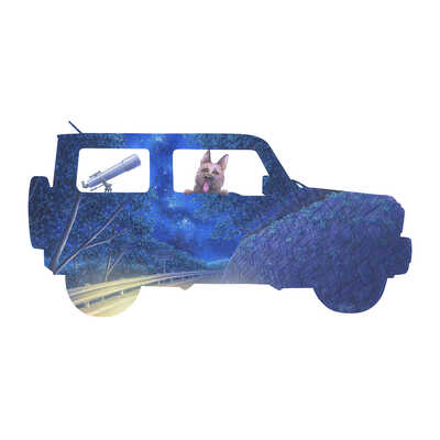 今夜はいい空が見れそうだ