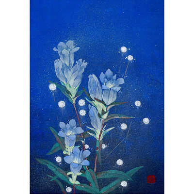 思ひ草と金平糖