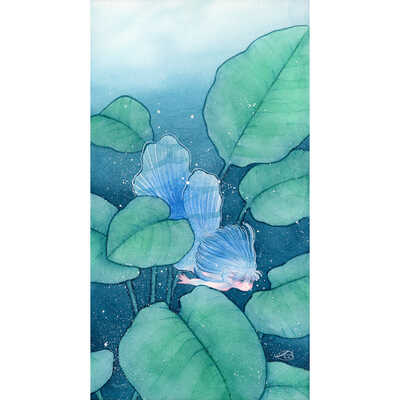 ａｑｕａｒｉｕｍ－１－