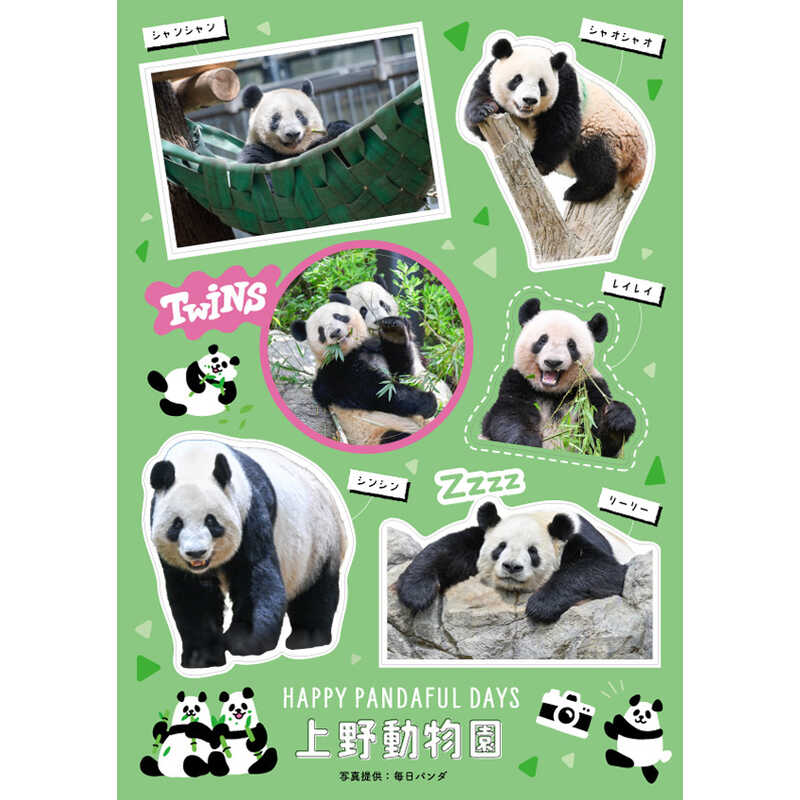 パンダ来日５１周年記念ステッカー」 上野動物園 Ｖｅｒ．付き 「ジャイアントパンダ来日５１周年記念」シルクスカーフ ｜大丸松坂屋オンラインストア【公式通販】
