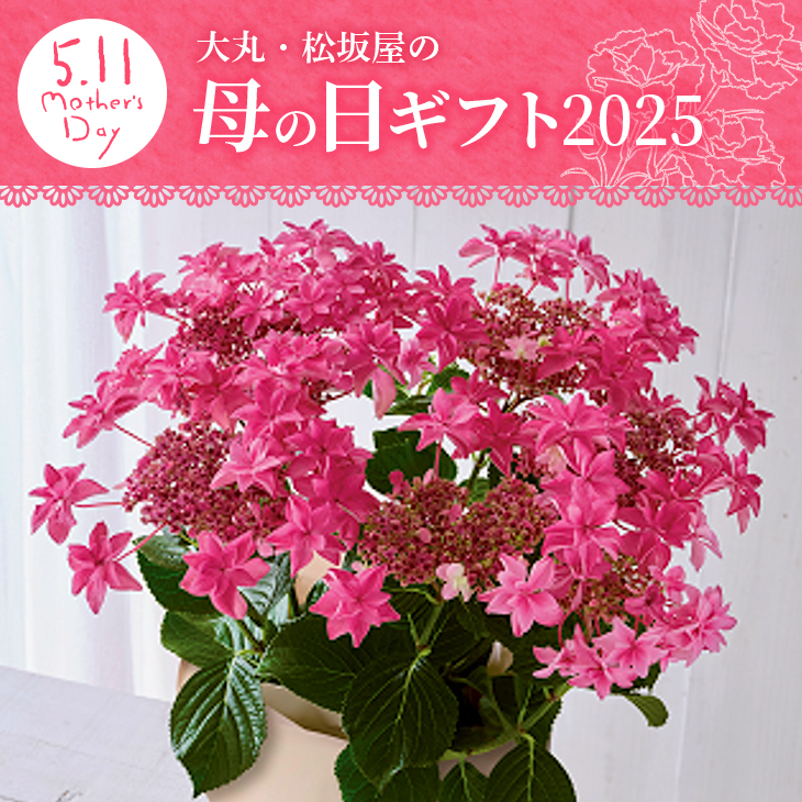 母の日ギフト2025